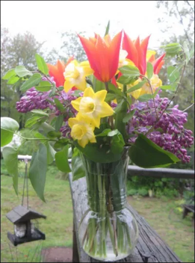 Question subsidiaire : Lors d'une émission radiophonique récente, un célèbre chanteur déclare que sa préférence va aux femmes « fragiles, timides et réservées ». De qui s'agit-il ?