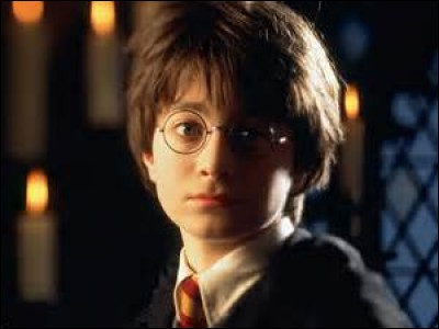 Qui Harry a-t-il rencontré en premier lieu ?