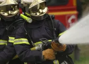 Quiz Les mtiers