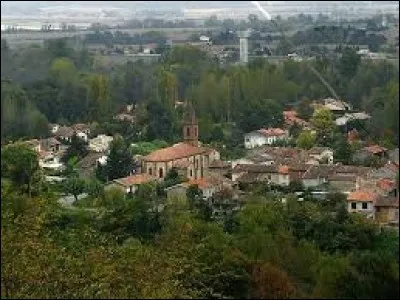 Commune d'Occitanie de l'aire urbaine de Pamiers, en plaine d'Ariège, Le Vernet se trouve dans le département ...