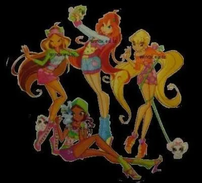 Qui sont les nouveaux petits compagnons des Winx sur Terre ?