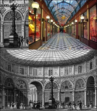 Allons à la galerie Colbert !
Pour une fois, soyons exotique ! Dans cette galerie, on peut voir une rotonde et une statue d'Eurydice. A la place de cette statue, auparavant, il y avait une horloge. Il y avait une représentation d'un arbre que l'on ne trouve pas naturellement à Paris.
Quel est cet arbre ?