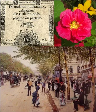 Allons « rue Neuve des Petits Champs » !
C'est l'emplacement d'un couvent que Louis XIV avait fait transférer à cet emplacement. La révolution fit prendre à ce bâtiment une autre destination. En 1806, Napoléon 1e le fit détruire pour construire une nouvelle rue.
Quel est le nom actuel de cette rue ?
Et comment fut transformé le couvent ?