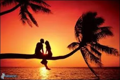 Qui a écrit "Le Vieux qui lisait des romans d'amour" ?