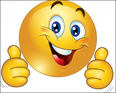 Vous aimez bien ce professeur, car...