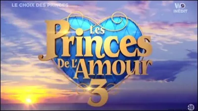 Cynthia est-elle venue dans la saison 3 ?