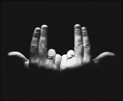 "Elle me dit qu'c'est ma lady
Mais elle sait c'que j'pense d'elle
J'crois qu'j'suis dans l'love mon ami
J'la voulais pour toute ma vie
Elle ressentait mes douleurs
On va pas ensemble à mon avis
Me passer d'toi j'ai pas appris
Tu m'en fais voir d'toutes les couleurs
Mi amor, pour la vie", ces paroles viennent du titre de "Mon amour", venant de :