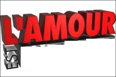 Comment est l'amour d'après le titre d'une émission de télé-réalité diffusée sur TF1 au début des années 2010 ?