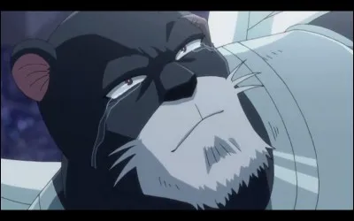 Comment s'appelle son Exceed ?