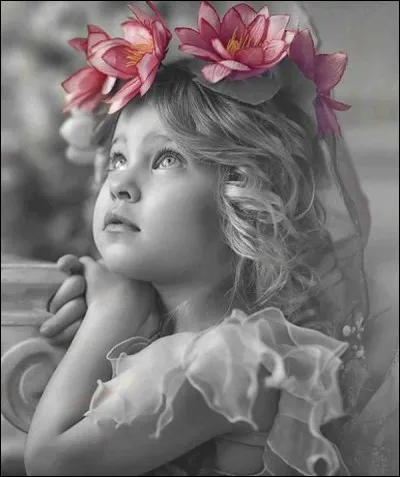 Qui interprétait ces paroles : "Si vous allez à San Francisco, vous les verrez des fleurs dans les cheveux..."