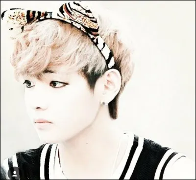 Quelle est la couleur préférée de Kim Taehyung ?