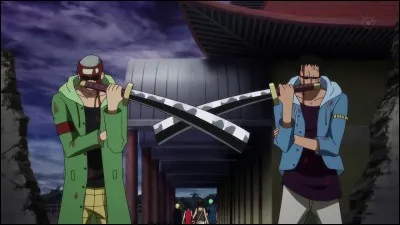 Ces deux personnages ont fait équipe avec Zoro à une époque. Comment s'appellent-ils ?