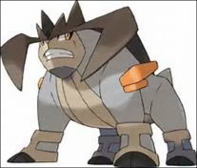 Quel est ce Pokémon ?