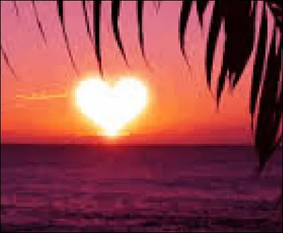 Qui a chanté "L'amour est un soleil" ?