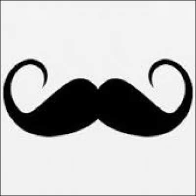 En France, les gendarmes devaient porter la moustache.
