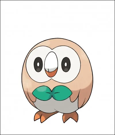 Quelle est l'évolution de Brindibou ?