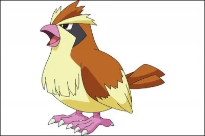 Quelle est l'évolution de Roucool ?