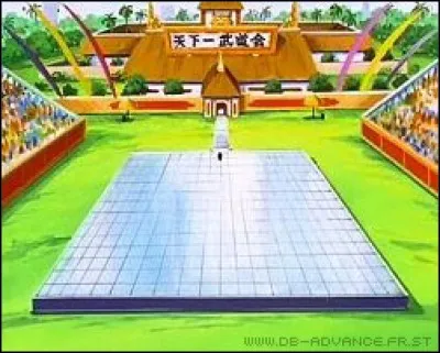 Sur qui tombe Sangoku en finale au deuxième championnat du monde dans "Dragon Ball" ?