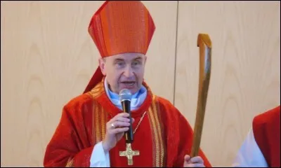 Quant à moi je suis l'appel de la haute aristocratie française et du haut clergé, on me nomme Monseigneur !