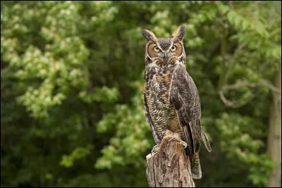 Pour qui est-ce que je me prends, tellement je suis grand ?