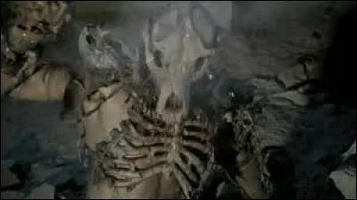 Qu'est-ce qu'un berserker ?