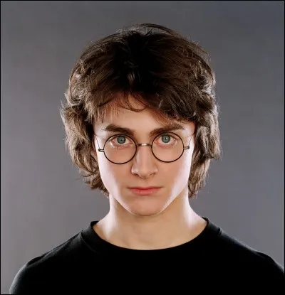 De quoi le trio, composé de Harry Potter, Ronald Weasley et Hermione Granger, tente-il d'empêcher Voldemort ?