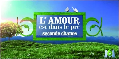 Quel âge Dominique avait-il ?