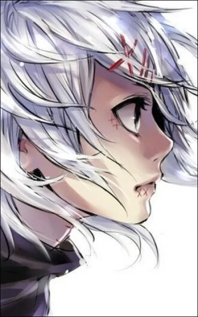 Les barrettes de cheveux de ce personnage forment un 13 (XIII). C'est un peu sa marque de fabrique. Ca devrait vous aider à trouver son nom vite faite, du coup !