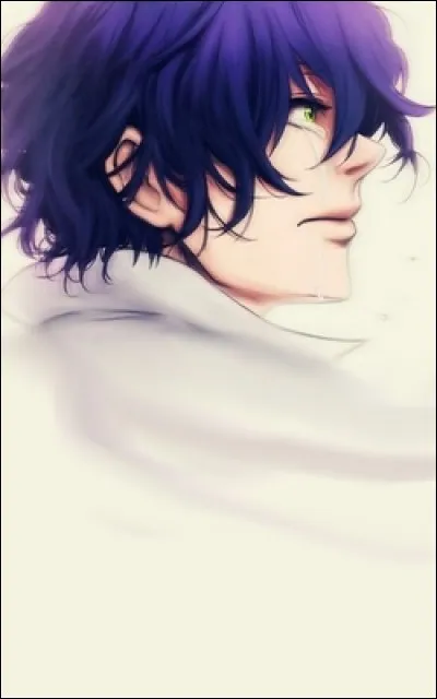 Lequel de ces personnages est souvent surnommé "Tête d'algues" en raison de sa coiffure ?