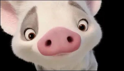 Pourquoi Pua ne fait-il pas partie du voyage de Vaiana ?