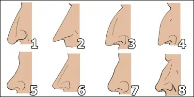 Si de ton doigt tu suis le mouvement de ton nez, quelle sensation ton doigt est-il susceptible de ressentir ?