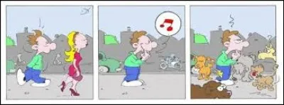 À Westland, vous avez le droit de siffler une jolie femme depuis une voiture qui se déplace.