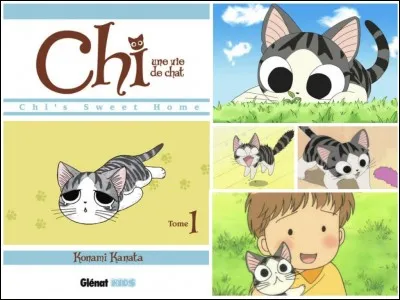 Qui est l’auteur de ce manga ?