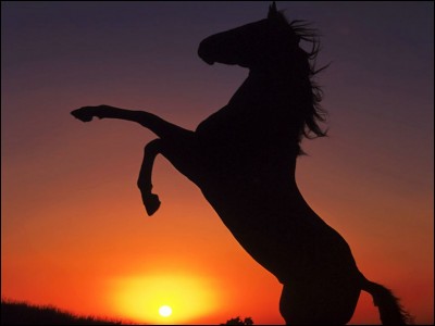 Quel cheval imaginaire est un mythe grec ?