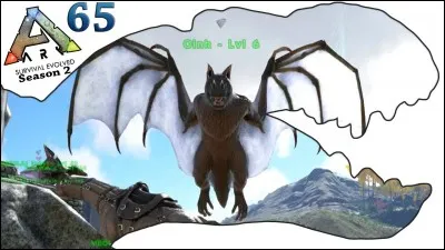 Peut-on tamer l'onyc ?