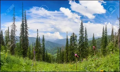 C'est le premier fleuve de Sibérie. Vrai ou faux ?