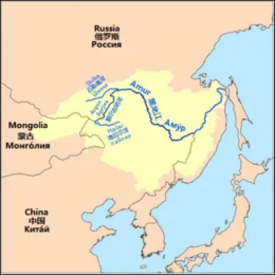 Le fleuve est formé par la réunion de la Chilka et de l'Argoun.