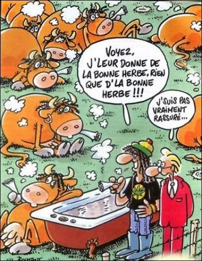 Quels animaux n'a-t-on pas le droit d'exciter ?