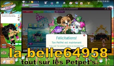 Combien coûtent les boonies , petpets MSP ?