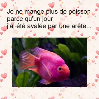 Où trouve-t-on l'arête ?