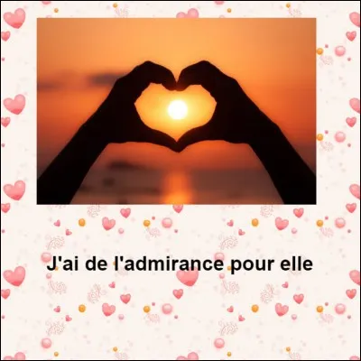 Qu'a l'auteur de cette phrase pour sa destinataire, en français ?