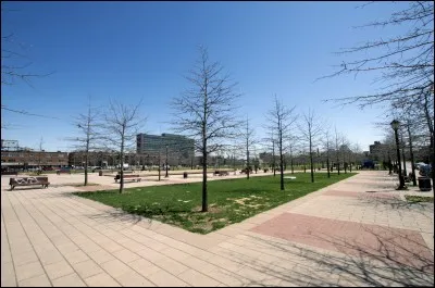 Elle revient l'hirondelle des...