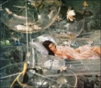 La maladie représentée par un nénuphar a envahi les poumons de cette délicate jeune fille. Qui est l'auteur de l'ouvrage ?