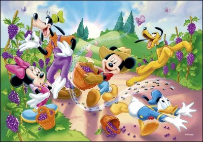 Quel est le quatuor principal ?