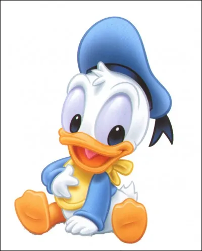 Quel est le nom de famille de Donald ?