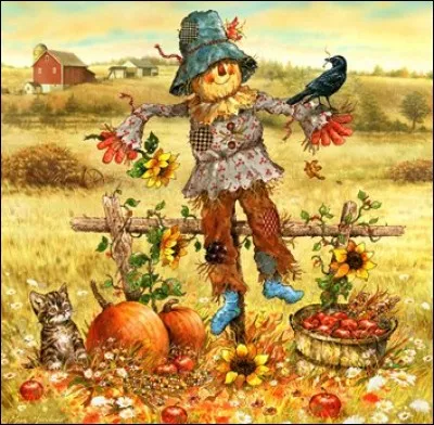 Que voyez-vous sur cette image ?