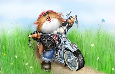 Dans quelle chanson de Renaud entend-on "J'ai fauché une Honda 500 à un fils de bourgeois honnête" ?