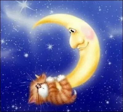 Cette image vous montre :