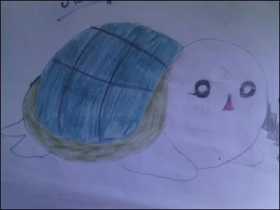 Comment s'appelle la tortue de Seiji ?