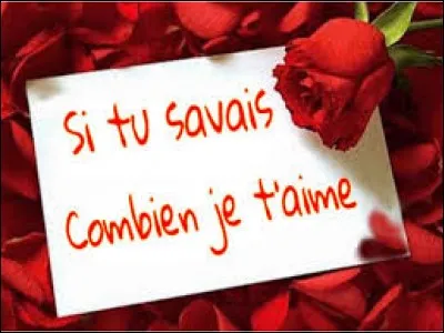 "Les Pages de notre amour" est un roman de Nicholas Sparks.